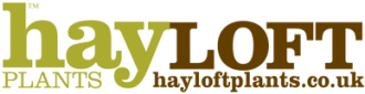 Logo Hayloft Plants
