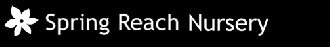 Logo Spring Reach Nursery