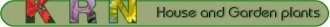 Logo KRN House Plants