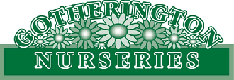 Logo Gotherington Nurseries
