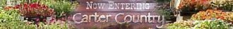 Logo Carter Nursery