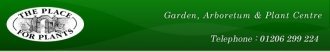Logo Place For Plants