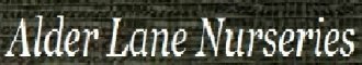 Logo Alder Lane Nurseries
