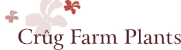 Logo Crug Farm Plants