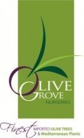 Logo Olive Grove Nurseries