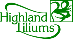 Logo Highland Liliums