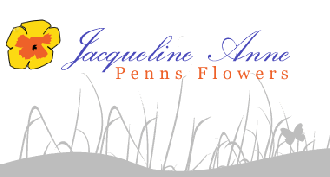 Logo tuincentrum Jacqueline Anne