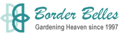 Logo Border Belles
