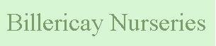 Logo Billericay Nurseries