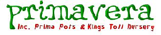 Logo Primavera & Kings Toll Nursery