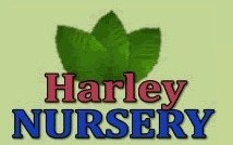 Logo Harley Nursery