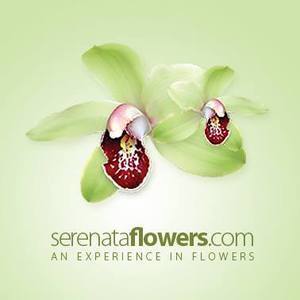 Logo Serenata Flowers