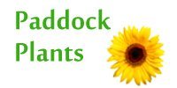 Logo Paddock Plants