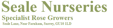 Logo Seale Nurseries