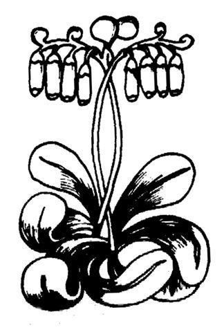 Logo Stillingfleet Lodge Nurseries