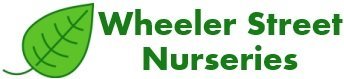 Logo Wheeler Street Nursery