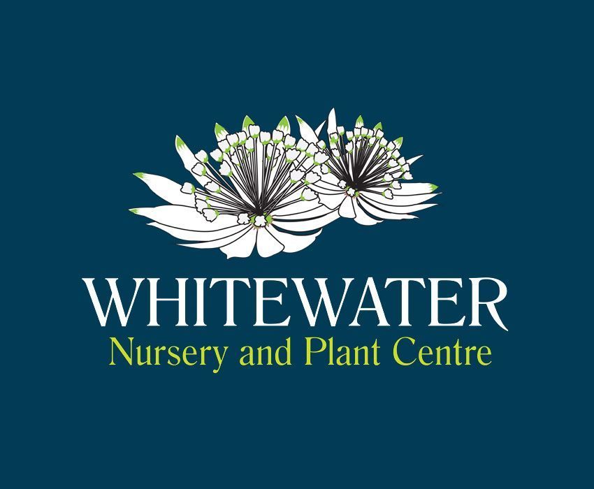 Logo Whitewater Nursery and Plant Centre
